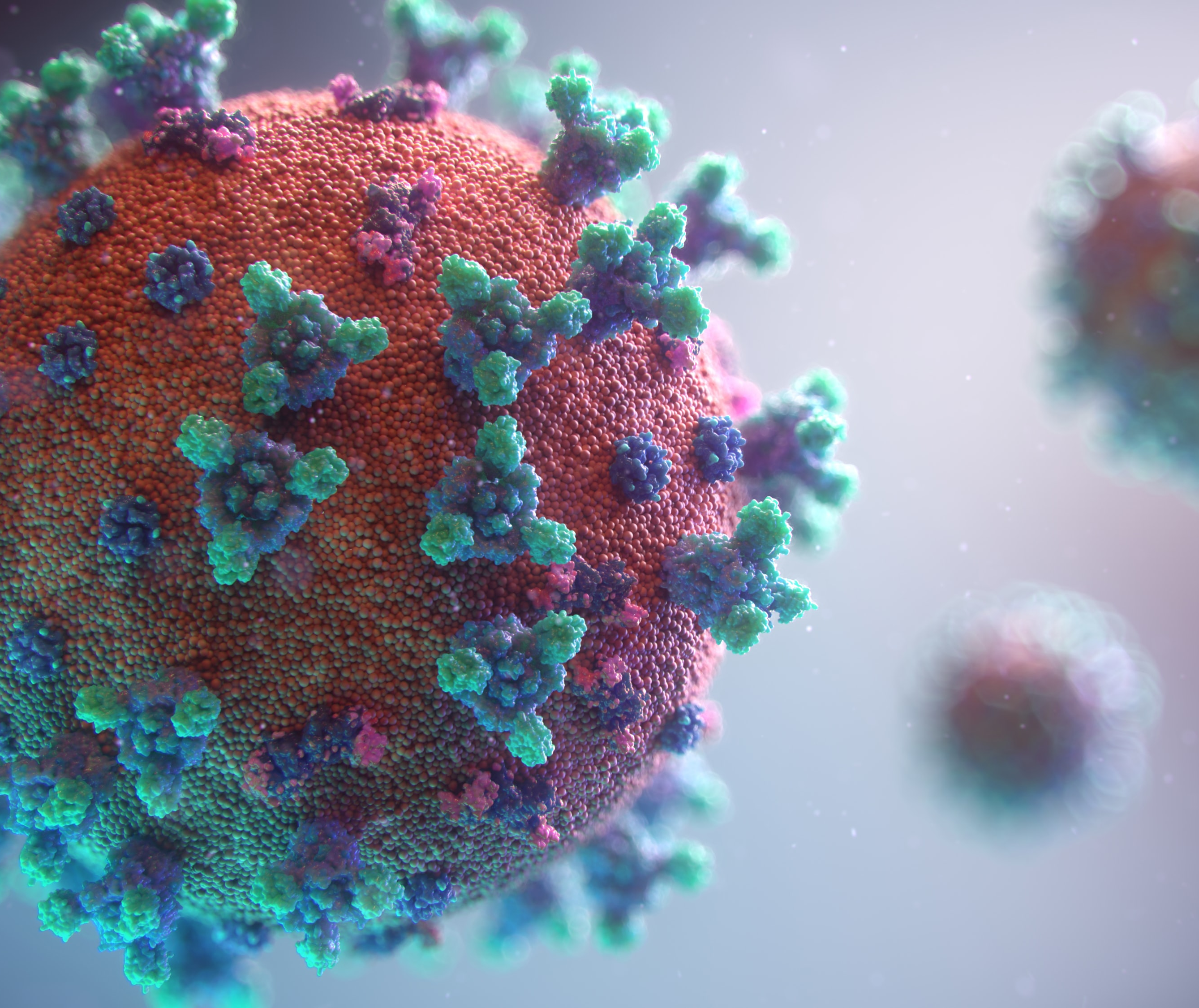 Coronavirus disease (COVID-19) advice for the public Coronavirus disease (COVID-19) advice for the public